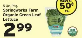Hannaford Springworks Farm Organic Green Leaf Lettuce offer