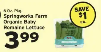 Hannaford Springworks Farm Organic Baby Romaine Lettuce offer