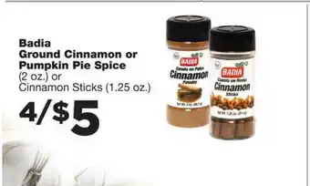Family Fare Badia Ground Cinnamon Or Pumpkin Pie Spice offer