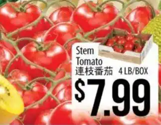 Hmart Stem Tomato offer