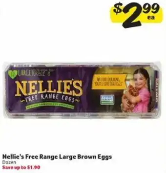 Winn Dixie Nellie's Free Range Large Brown Eggs offer