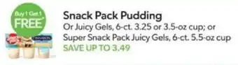 Publix Snack Pack Pudding offer