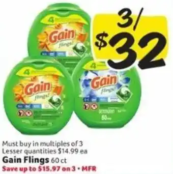 Winn Dixie Gain Flings offer