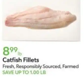 Publix Catfish Fillets offer