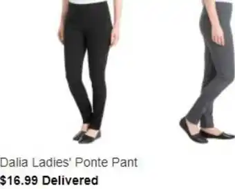 Costco Dalia Ladie's Ponte Pants offer