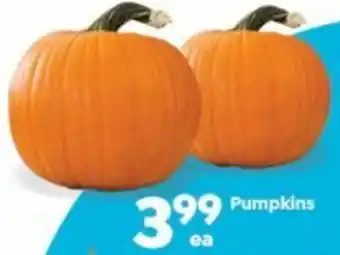 Save a Lot Pumpkins offer