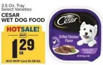 Food Lion CESAR WET DOG FOOD offer