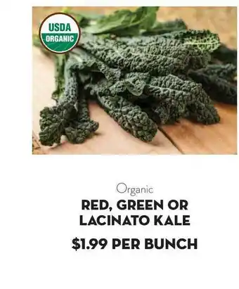Bristol Farms Organic Red, Green Or Lacinato Kale offer