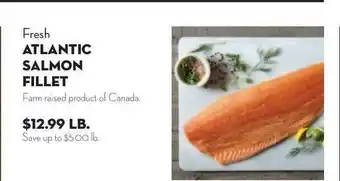 Bristol Farms Fresh Atlantic Salmon Fillet offer