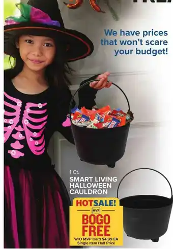 Food Lion Smart Living Halloween Cauldron offer