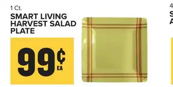 Food Lion Smart Living Harvest Salad Plate offer