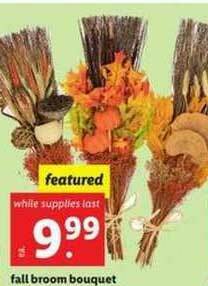 Lidl Fall Broom Bouquet offer