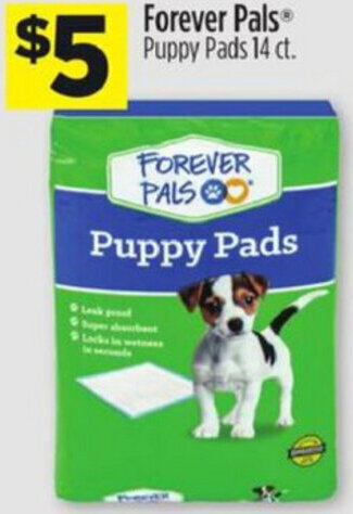 Dollar General Forever Pals offer