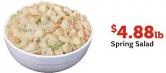 Fareway Spring Salad offer