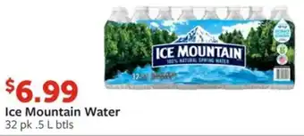 Fareway Ice Mountain Water offer