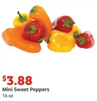 Fareway Mini Sweet Peppers 16 oz offer