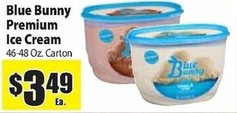 Food Giant Blue Bunny Premium Ice Cream offer