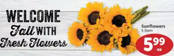 Albertsons Sunflower offer