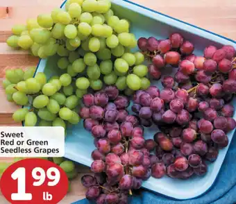 Albertsons Sweet Red Or Green Seedless Grapes offer