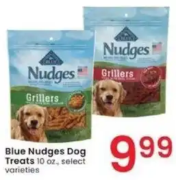Albertsons Blue Nudges Dog Treats 10 oz offer