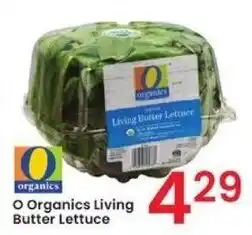 Albertsons O Organics Living Butter Lettuce offer