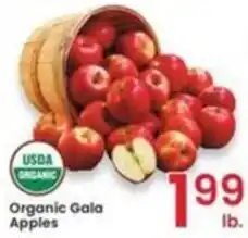Albertsons Organic Gala Apples offer
