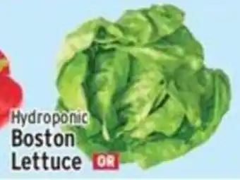 Met Foodmarkets Boston Lettuce offer