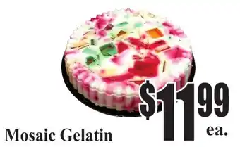 Baja Ranch Mosaic Gelatin offer