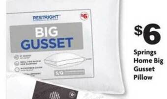 Family Dollar Springs Home Big Gusset Pillow offer