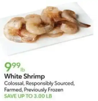 Publix White Shrimp offer