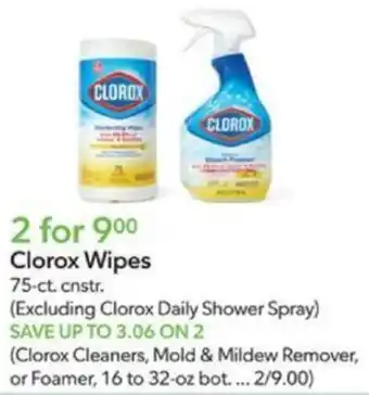 Publix Clorox Wipes offer