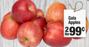 Super King Markets Gala Apples offer