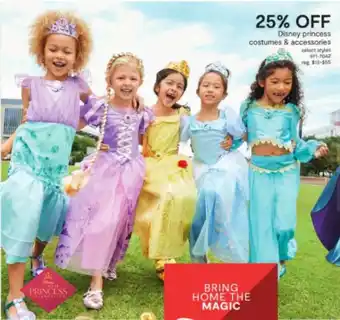 JC Penney Disney Princess Costumes & Accessories offer