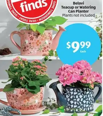 Aldi Belavi Teacup or Watering Can Planter offer