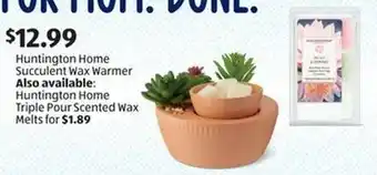 Aldi Huntington Home Succulent Wax Warmer offer