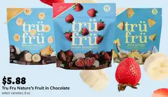 Fareway Tru Fru Nature's Fruit in Chocolate offer