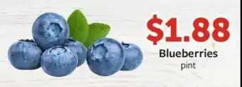 Fareway Blueberries offer