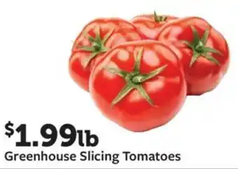 Fareway Greenhouse Slicing Tomatoes offer