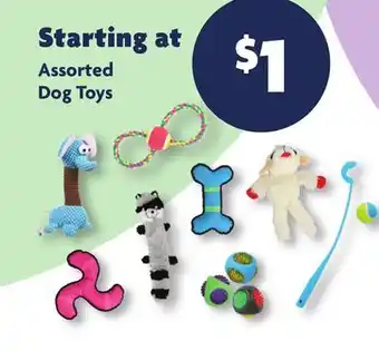 Family Dollar Assorted Dog Toys offer