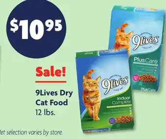 Family Dollar 9Lives Dry Cat Food offer