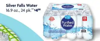 Family Dollar Silver Falls Water offer