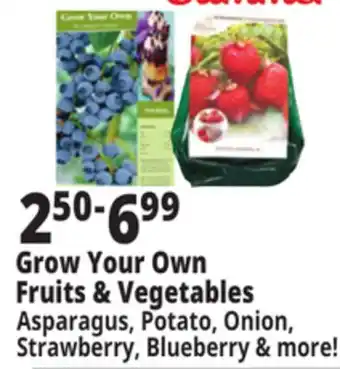 Ocean State Job Lot Grow your Own Fruits & Vegetables offer