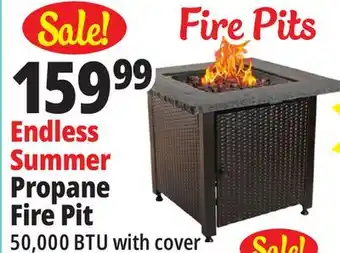 Ocean State Job Lot Endless Summer Propane Fire Pit offer