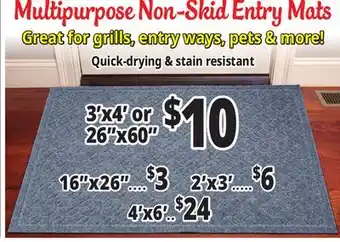 Ocean State Job Lot Multipurpose Non-Skid Entry Mats offer