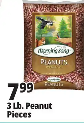 Ocean State Job Lot Morning Song Wildlife Food Peanuts 3 lbs offer