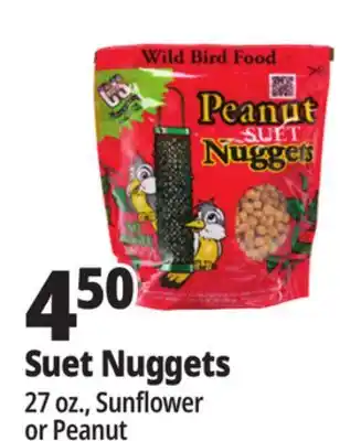 Ocean State Job Lot Suet Nuggets offer
