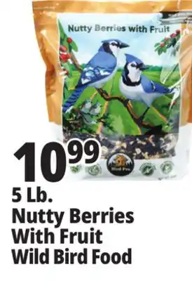 Ocean State Job Lot Bird Pro Nutty Berries with Fruit Wild Bird Food 5 lbs offer