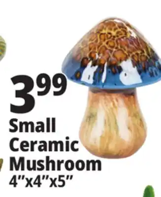 Ocean State Job Lot Small Ceramic Mushroom offer