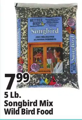 Ocean State Job Lot Better Bird Songbird Better Blends Food 5 lbs offer