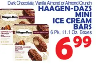 Bravo Supermarkets HAAGEN-DAZS MINI ICE CREAM BARS offer